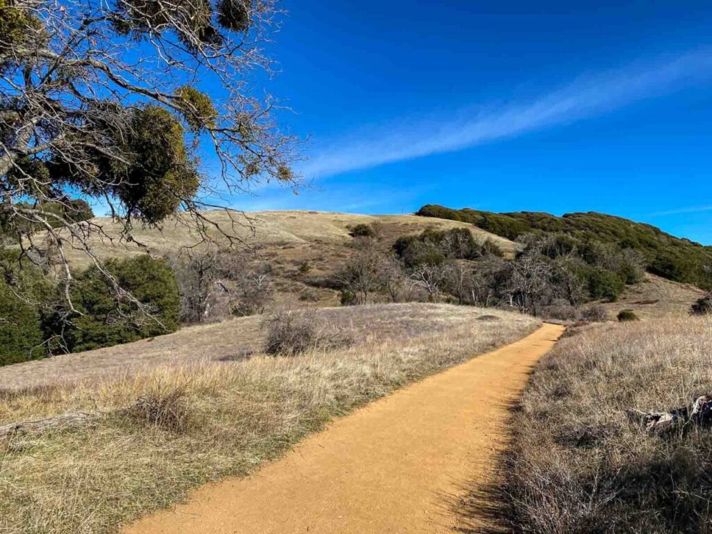 Volcan Mountain Trail