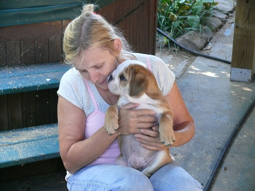 pet being allowed in vacation rental