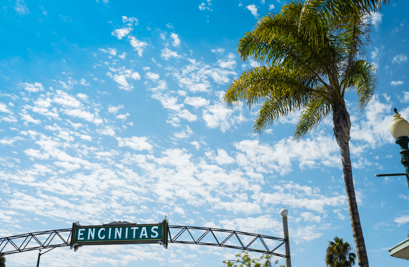 A Local’s Guide to a Perfect Day in Encinitas