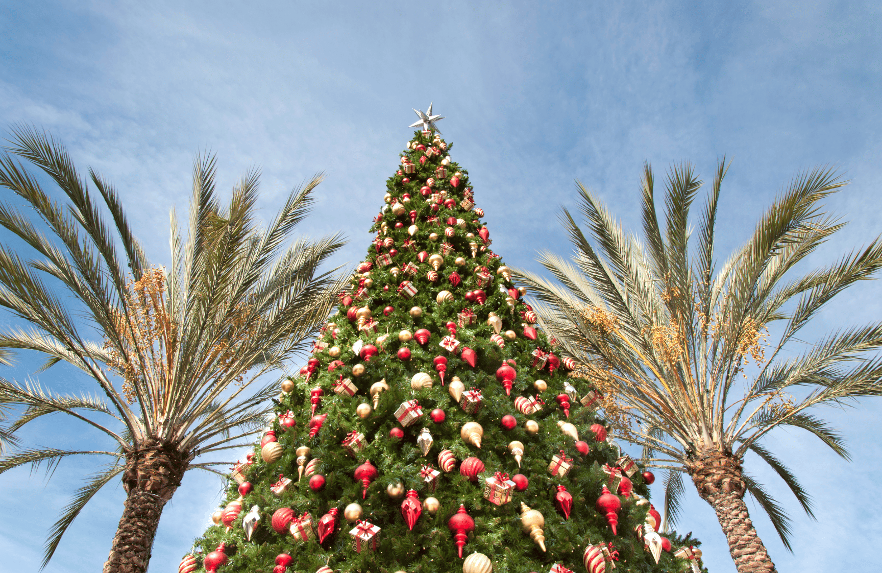 Six Family Friendly Holiday Adventures In San Diego