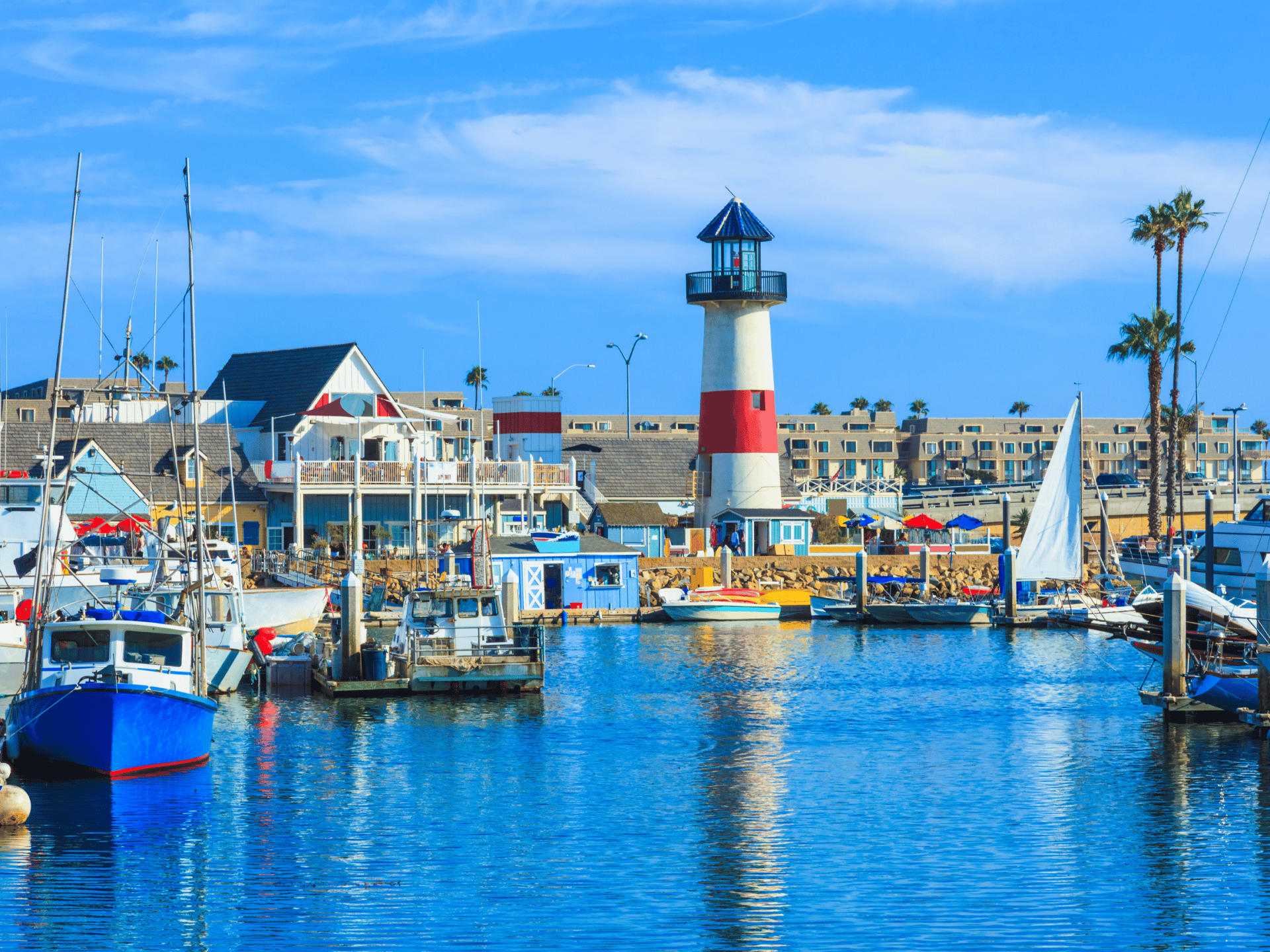 9 Fun Oceanside Excursions In And Around The Harbor